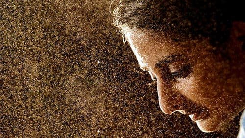 ജെമിനി Bild 2