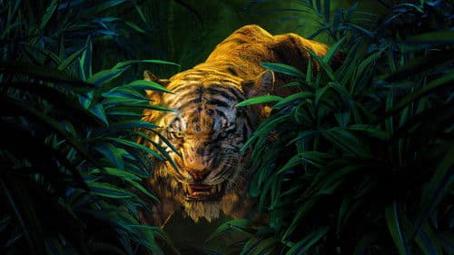 The Jungle Book Bild 4
