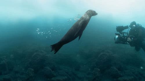 Guardians of the Galapagos Bild 4