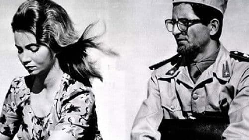 Quattro notti con Alba Bild 1