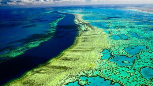 Great Barrier Reef with David Attenborough Bild 8