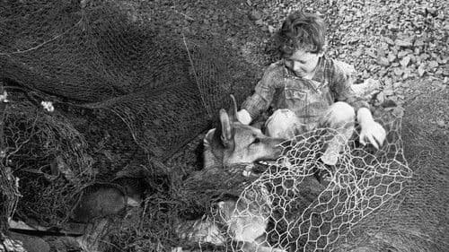 Rusty's Birthday Bild 1