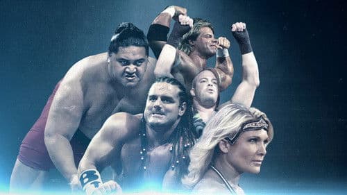 WWE Icons Bild 3
