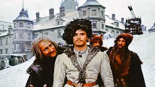 Ogniem i mieczem Bild 4