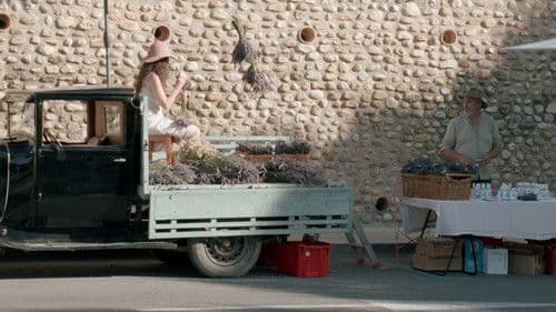 Trois oiseaux bleus Bild 3