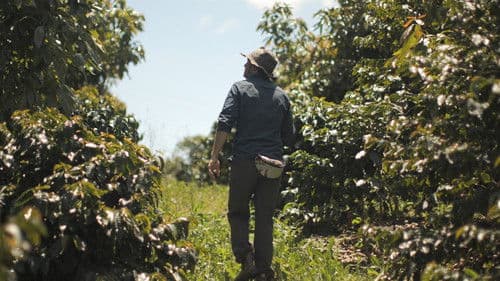 Kiss the Ground Bild 3