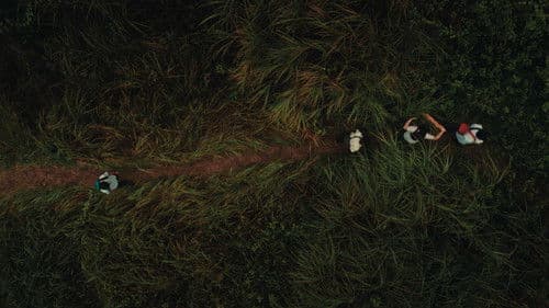 Elephant Paths Bild 1