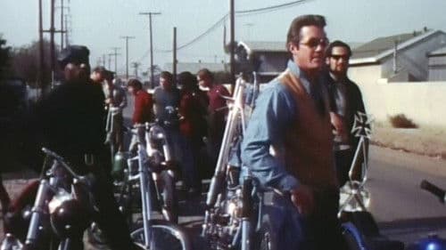 Run, Angel, Run! Bild 1