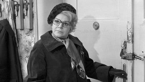 Namátková kontrola Bild 1