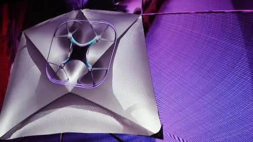 Yielders Path Bild 1