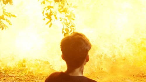 Father to Son Bild 6