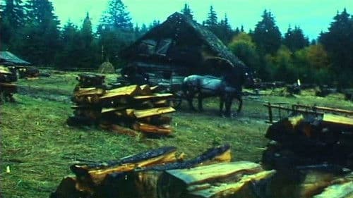 Ábel a rengetegben Bild 1