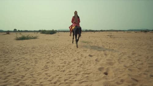 ଶ୍ରୀଜଗନ୍ନାଥଙ୍କ ନବକଳେବର Bild 8