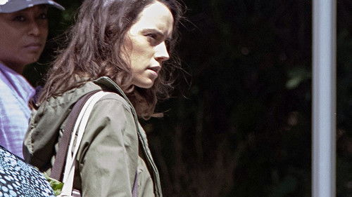 Das Erwachen der Jägerin Bild 8