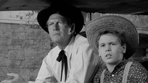 Stars in My Crown Bild 4