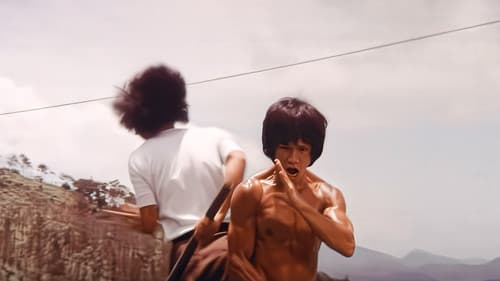 The Big Boss 2 - Rache in Shanghai! Bild 2