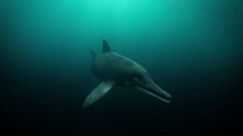 Attenborough and the Sea Dragon Bild 5