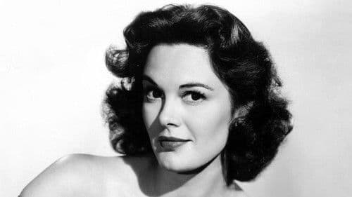 Miami Exposé Bild 2