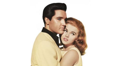 Tolle Nächte in Las Vegas Bild 7