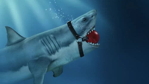 Shark Lords Bild 1