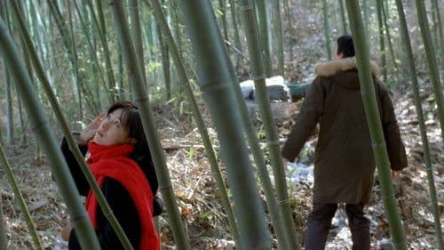 봄날은 간다 Bild 3