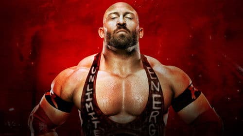 WWE Battleground 2013 Bild 1