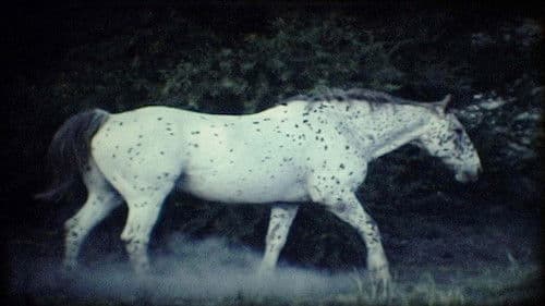 Das Summen der Insekten Bild 2