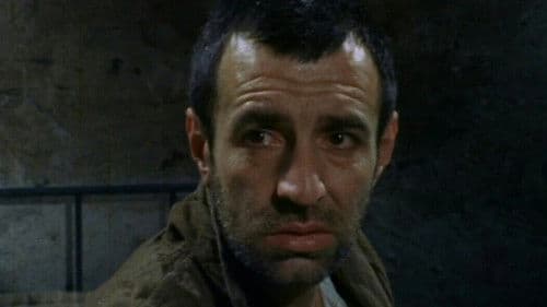 Paviljon broj VI Bild 2