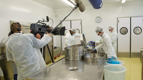 Der Milliarden-Dollar-Fisch Bild 4