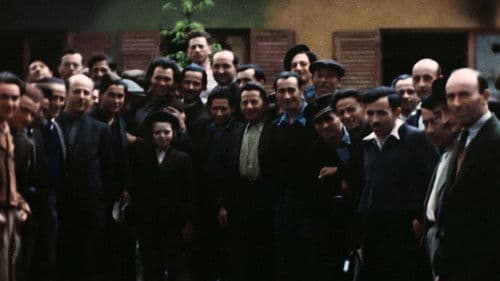 Die Überlebenden. Neuanfang nach dem Holocaust Bild 8