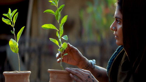 सास, बहू और फ्लेमिंगो Bild 8