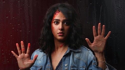 నిశ్శబ్దం Bild 1