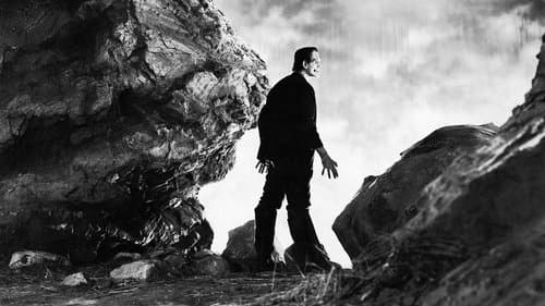 Frankenstein Bild 1