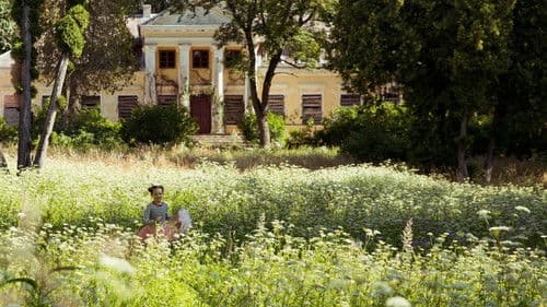 Drugelio širdis Bild 1