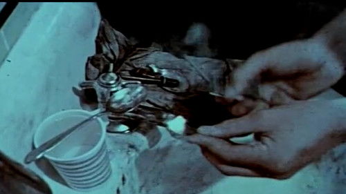 Narcotics, Why Not? Bild 1