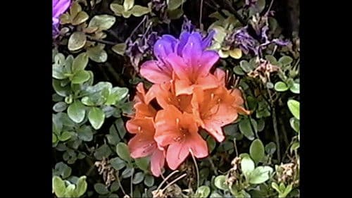 memory consolidation 01 Bild 1