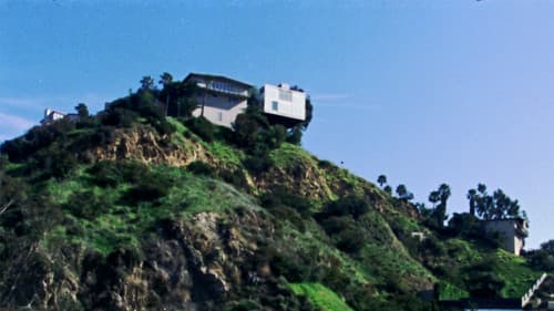 If a Tree Falls in a Forest Bild 1