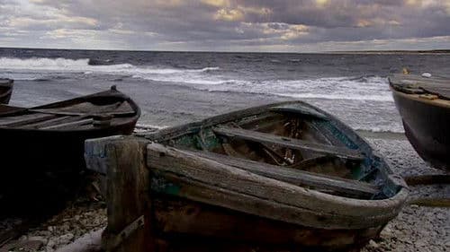 Bergman Island Bild 3