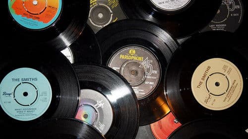 The Joy Of The Single Bild 1