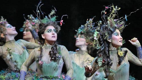 The Metropolitan Opera: Rusalka Bild 5