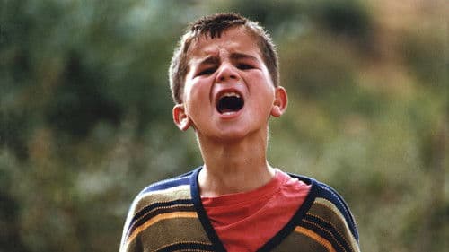 Schildkröten können fliegen Bild 7