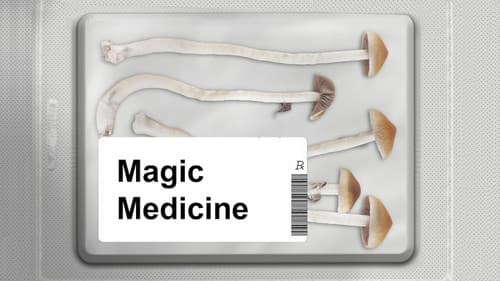 Magic Medicine Bild 2