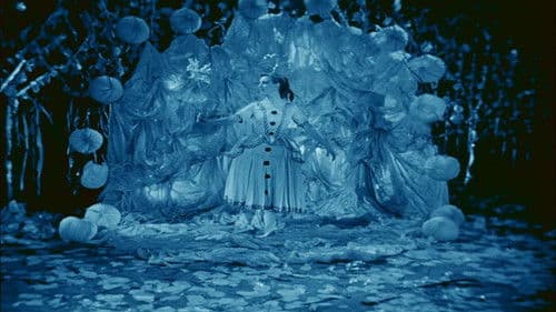 Rabbit's Moon Bild 2