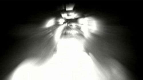 Tesla's Suicide Bild 1