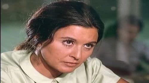 أهل القمة Bild 2