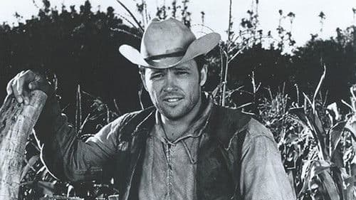 Sancho, the Homing Steer Bild 1