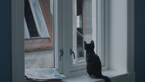 A Human Position Bild 7