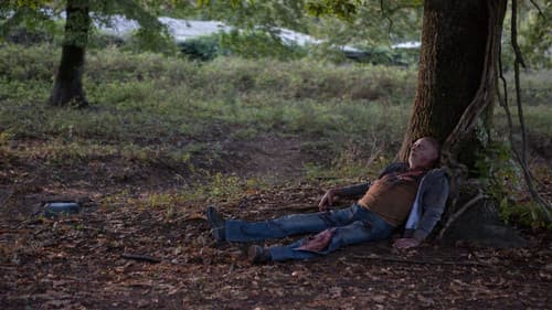 L'ombra del lupo Bild 2