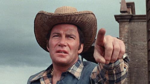 Nachts, wenn die Zombies schreien Bild 4