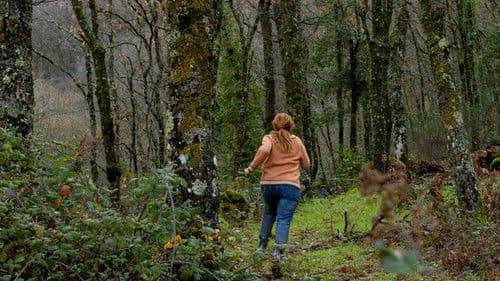 Der Kristallkuckuck Bild 5